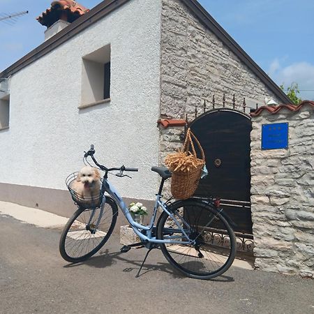 Authentic Istria&Pet Friendly Apartment Banko Near Rovinj Канфанар Экстерьер фото