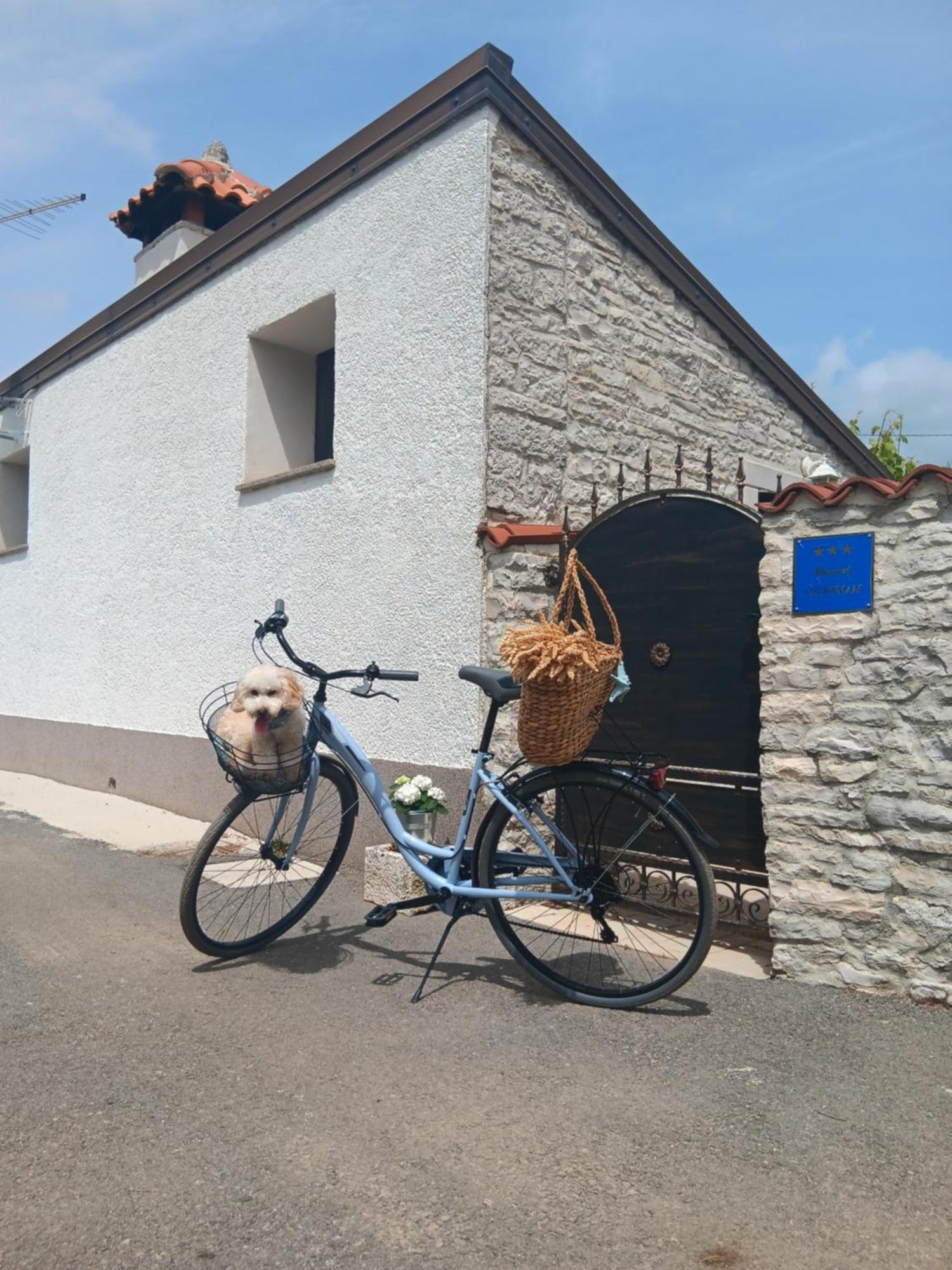 Authentic Istria&Pet Friendly Apartment Banko Near Rovinj Канфанар Экстерьер фото