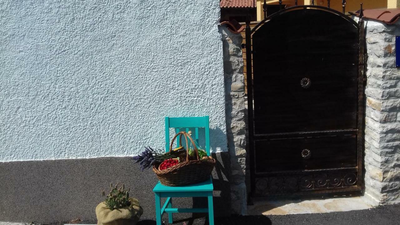 Authentic Istria&Pet Friendly Apartment Banko Near Rovinj Канфанар Экстерьер фото
